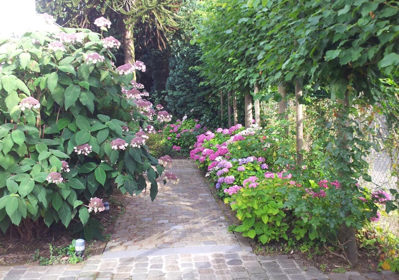 La Pastorale Brussels Expo Bed & Breakfast Wemmel Ngoại thất bức ảnh